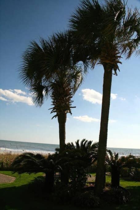 *Renovated Oceanfront Condo*Queen Beds*Pools*Hot Tubs*More*P220 Myrtle Beach Exteriér fotografie